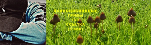 кристаллы Медногорск