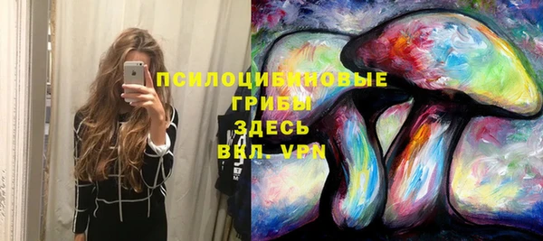 эйфоретик Мегион