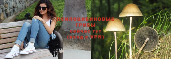 дмт Медвежьегорск