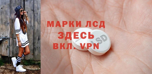 шишки Долгопрудный
