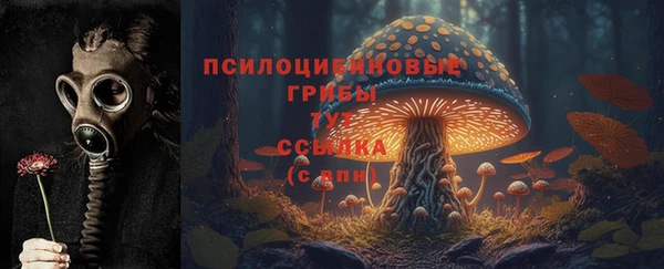 эйфоретик Мегион