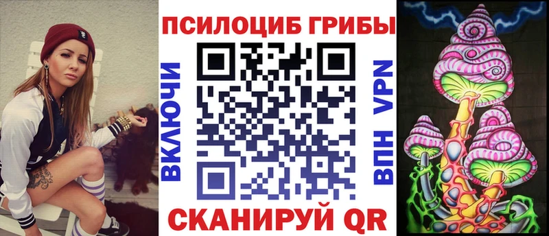 Галлюциногенные грибы Magic Shrooms  где купить наркоту  Назрань 
